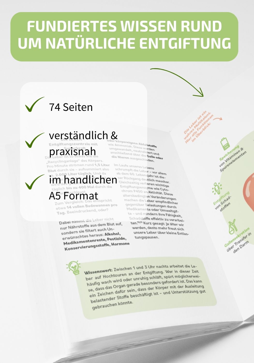 Darm Balance Paket: Detox-Pulver, Flohsamenschalen & Ratgeber