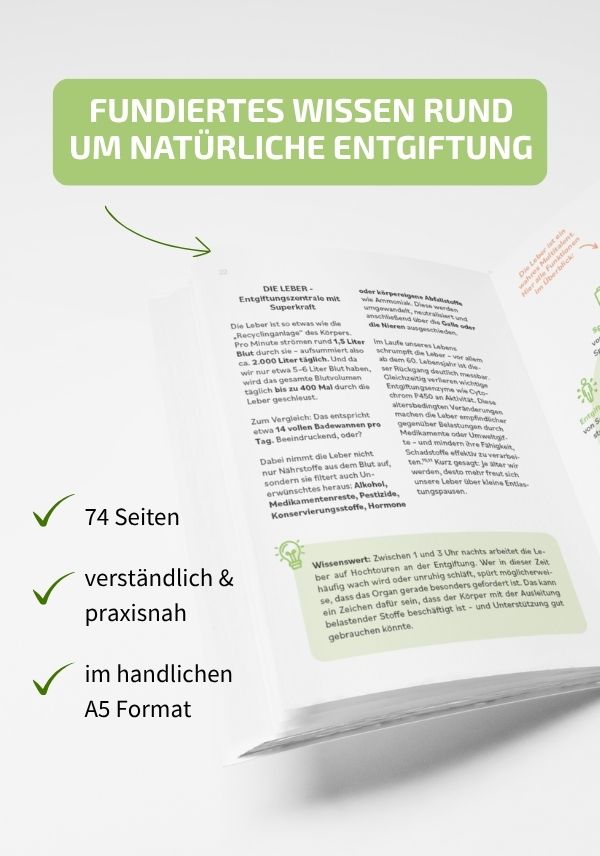 Starter-Set: Detox-Pulver, inkl. Trinkflasche und Ratgeber