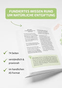 Starter-Set: Detox-Pulver, inkl. Trinkflasche und Ratgeber