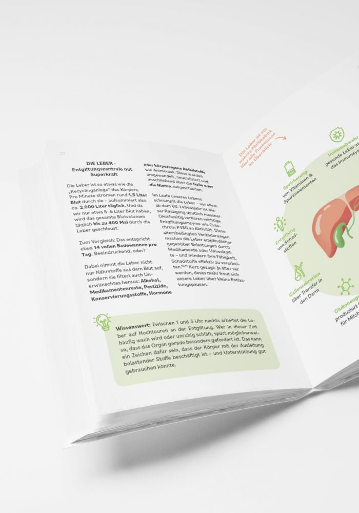 Guida alla disintossicazione: il vostro compagno per un sollievo naturale (versione tedesca)